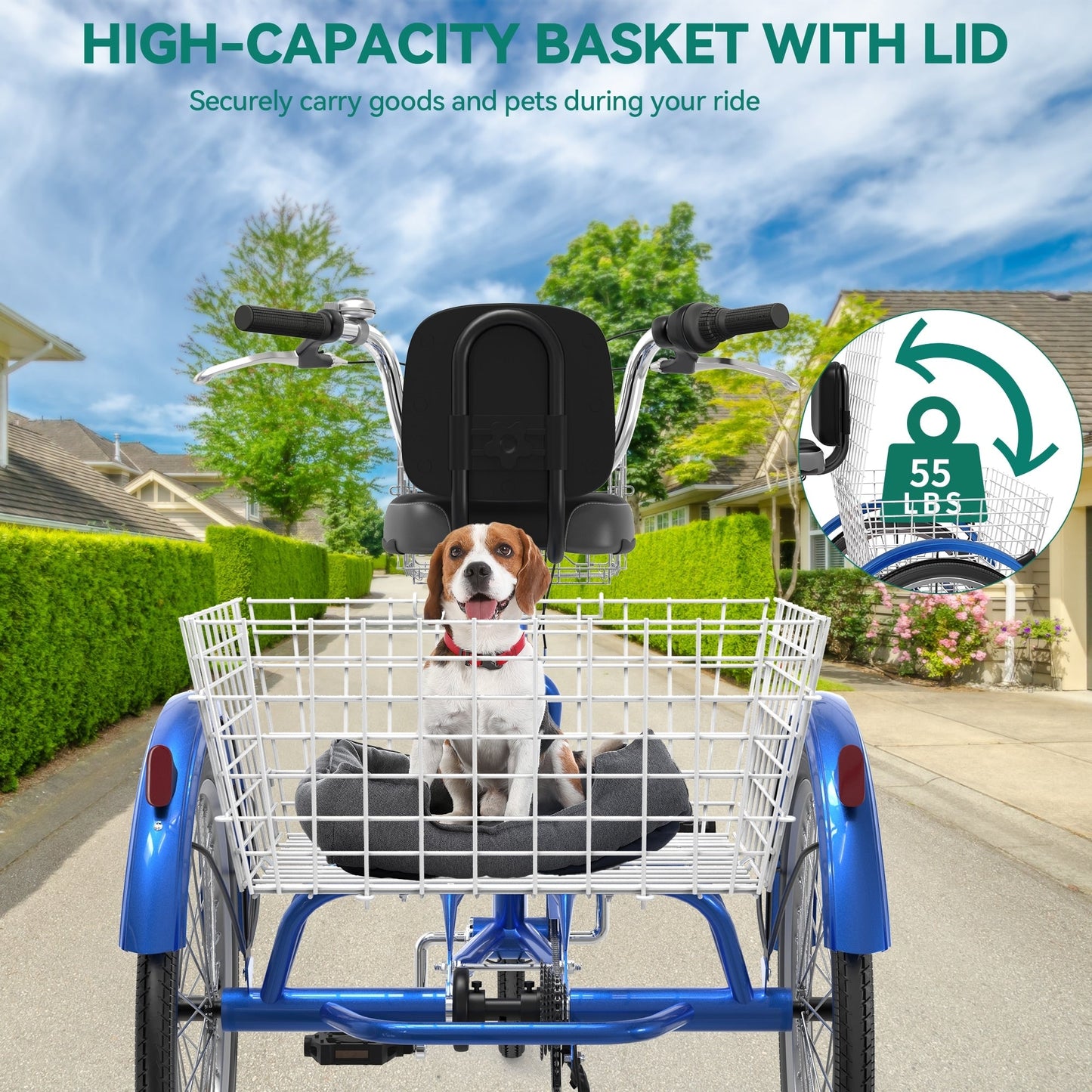 Tricycle adulte 26 pouces, 3 roues, 7 vitesses