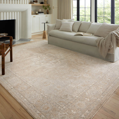Alexander Home Colette Vintage Shabby Chic Area Rug