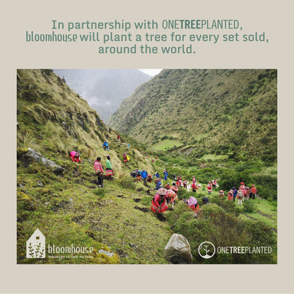 Bloomhouse Palermo Sun Service de table 16 pièces en grès émaillé réactif avec assiettes et bols à double bol