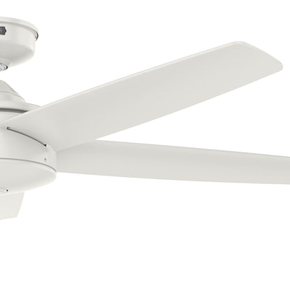 Ventilateur de plafond intérieur/extérieur Hunter 52 Shorebreak WeatherMax avec commande murale - Résistant aux intempéries, au sel et à la corrosion