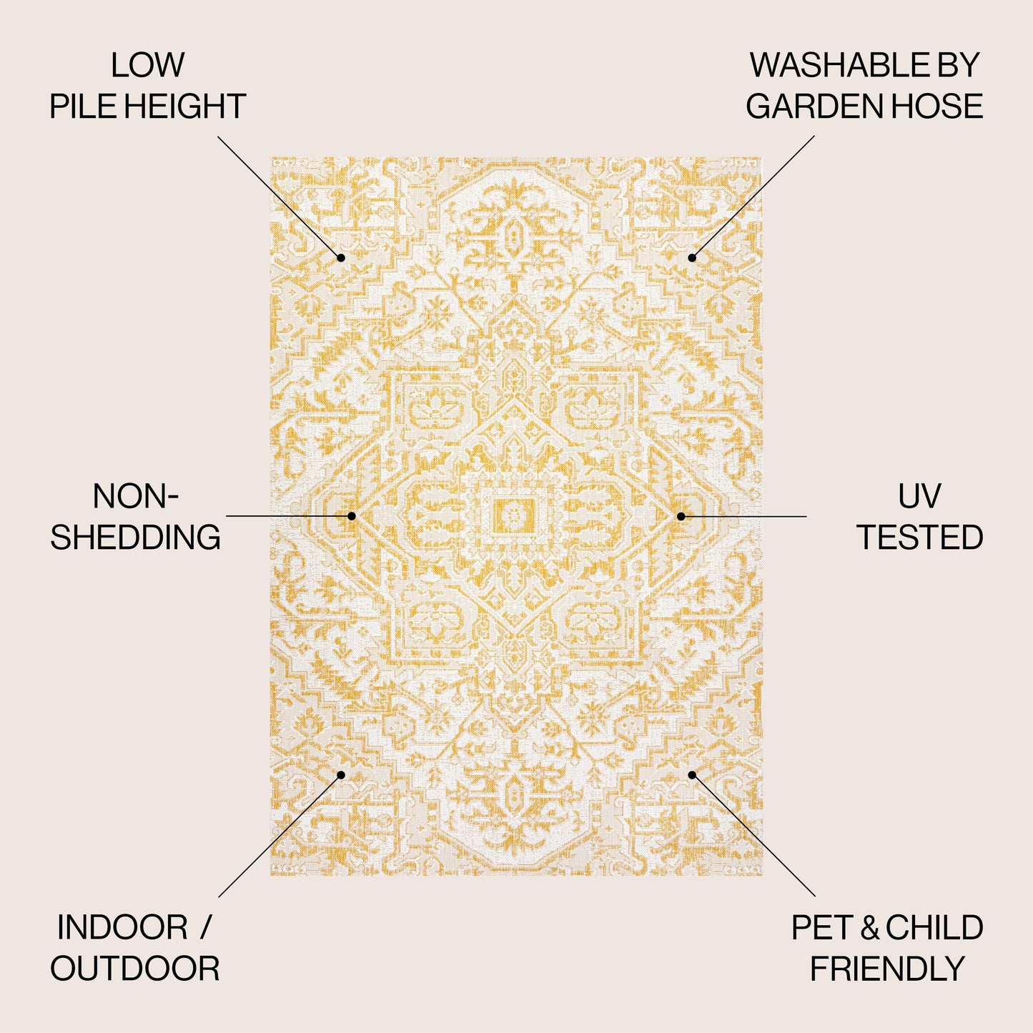 Tapis d'intérieur/extérieur JONATHAN Y Charleston Medallion