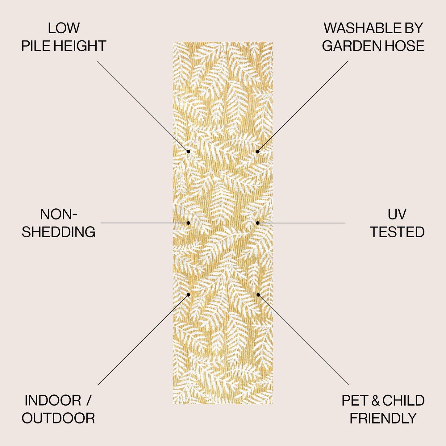 JONATHAN Y Tapis intérieur/extérieur à fronde de palmier Galon