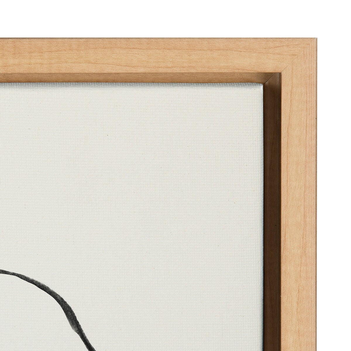 Kate and Laurel Sylvie Modern Circles Framed Canvas Set by Teju Reval