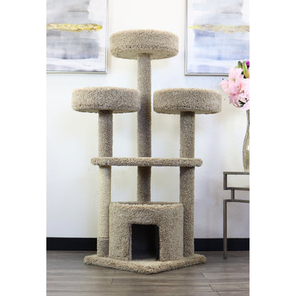 Nouveaux condos pour chats Grande maison pour chats