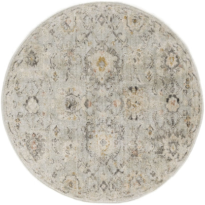 Tapis d'intérieur persan Nourison Oushak Home