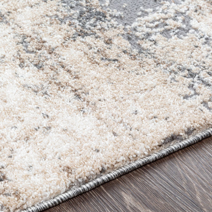 Tapis Livabliss Oskar moderne à l'aspect vieilli