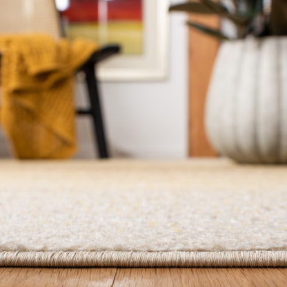 SAFAVIEH Tapis Adirondack Muzeyyen Ombre vieilli