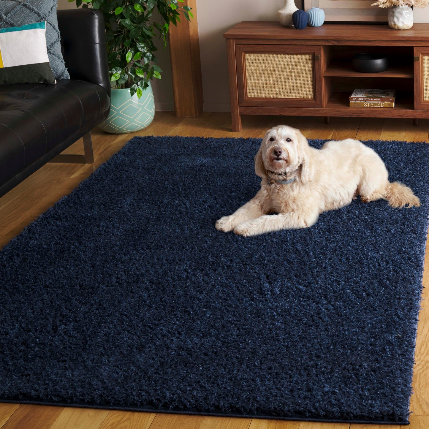 SAFAVIEH Lindsay Shag Luann Contemporary Rug