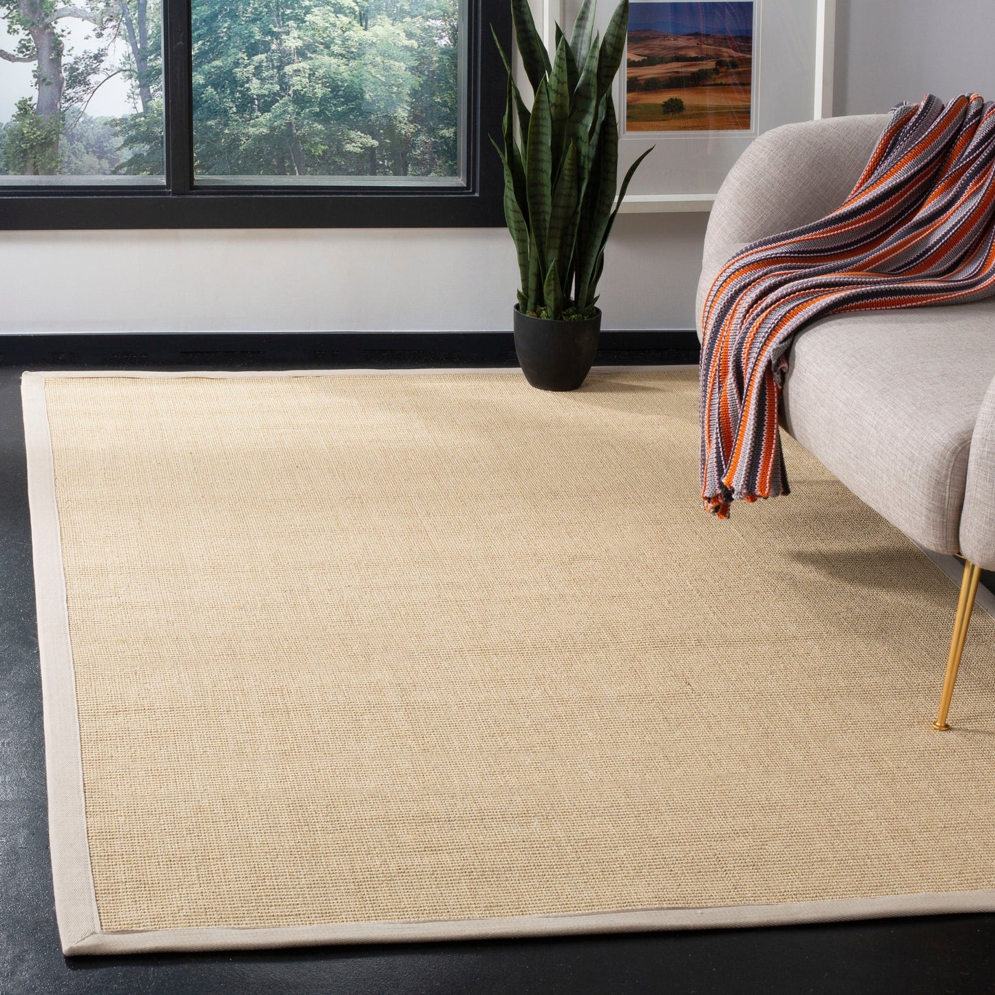 Tapis en sisal SAFAVIEH en fibres naturelles, bordure décontractée Alleen