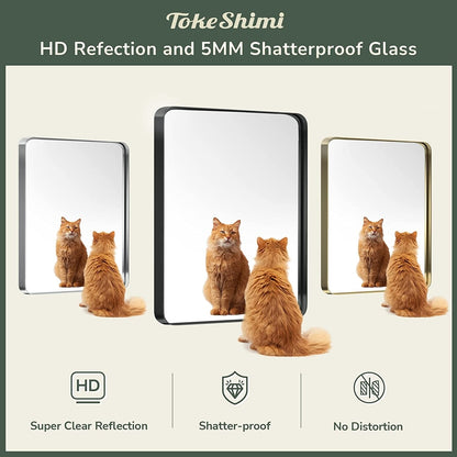 Miroir mural de salle de bain moderne à cadre en métal TokeShimi